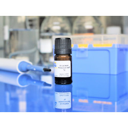 d-luciferin