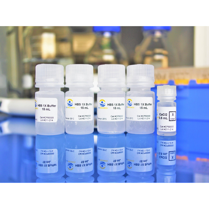 CaPo Transfection Kit
