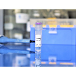 Lullaby Transfection Reagent