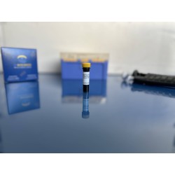 lnp encapsualting cy5 mrna