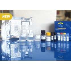 Double-stranded RNA (dsRNA) ELISA detection kit