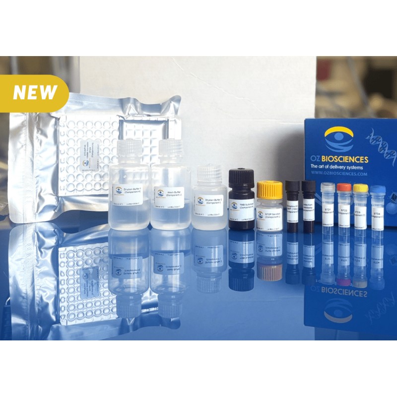 dsRNA ELISA Kit
