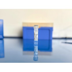 Cy3 GFP mRNA