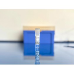 Alexa488 F-Luc mRNA