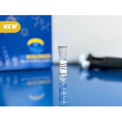 Nanog mRNA
