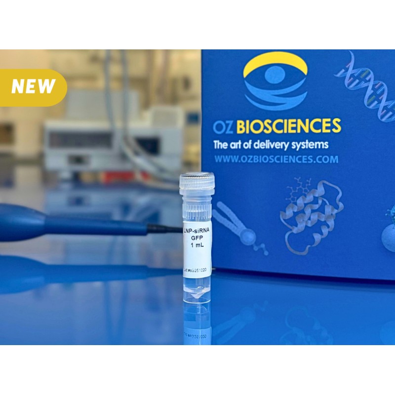 NanOZ LNP-siRNA(GFP)