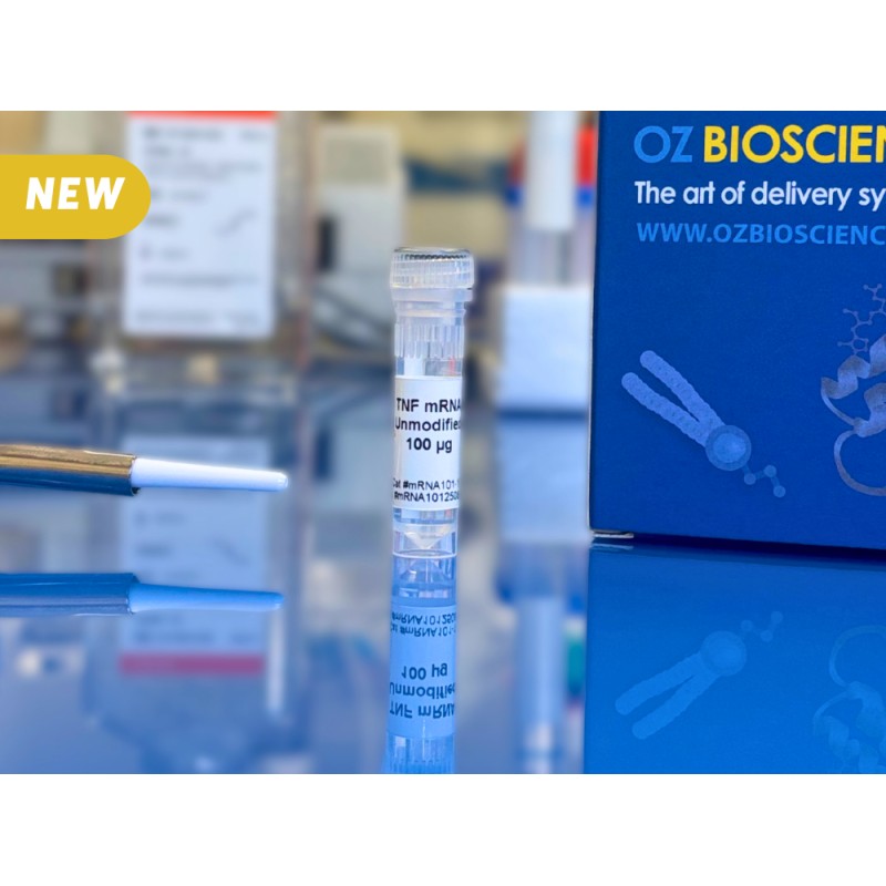 TNFα mRNA
