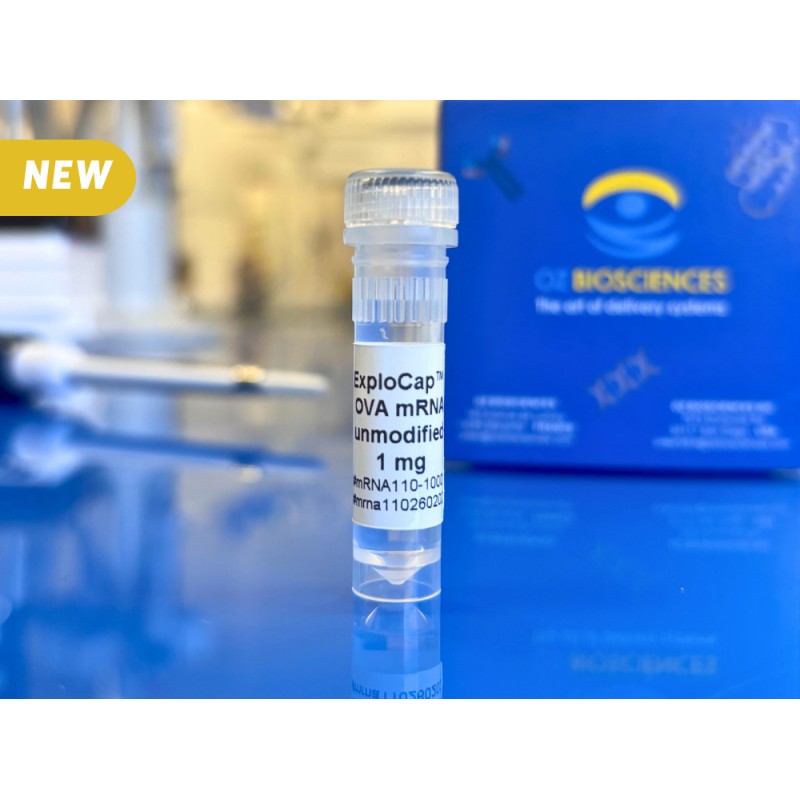 ExploCap™ OVA mRNA