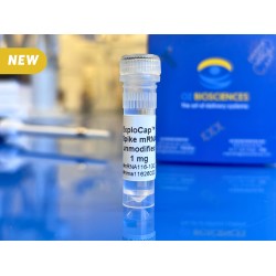 mRNA capped encoding spike protein of SARS-CoV-2 virus