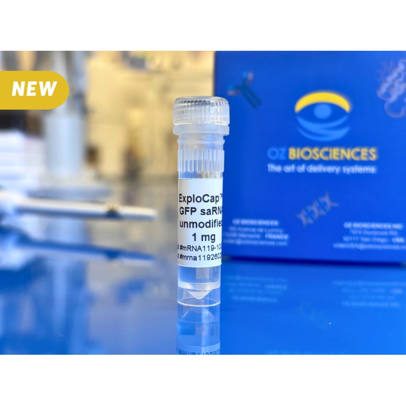 ExploCap™ GFP saRNA