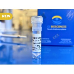 mRNA capped encoding Firefly Luciferase Protein