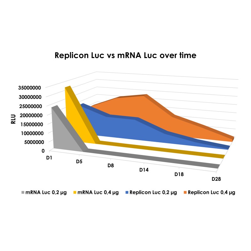 firefly luciferase self-amplifying rna