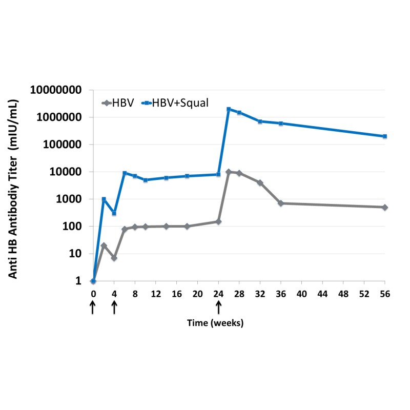 squalene adjuvant performance