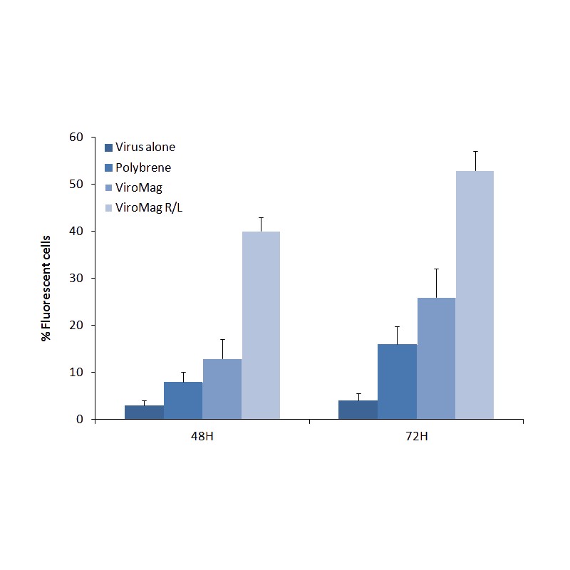 magnetic lentiviral transduction performance