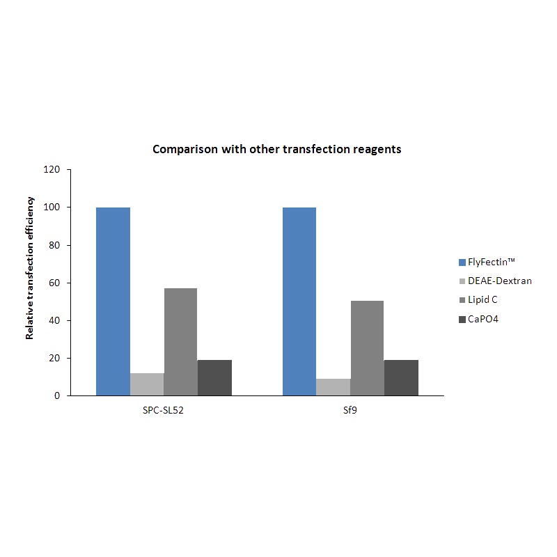 insect cell transfection