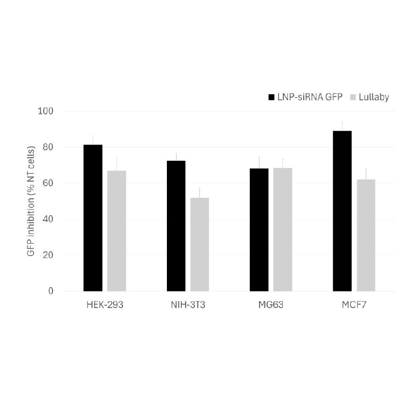 siRNA targeting GFP in LNP performance