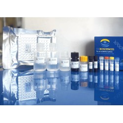 Double-stranded RNA (dsRNA) ELISA detection kit
