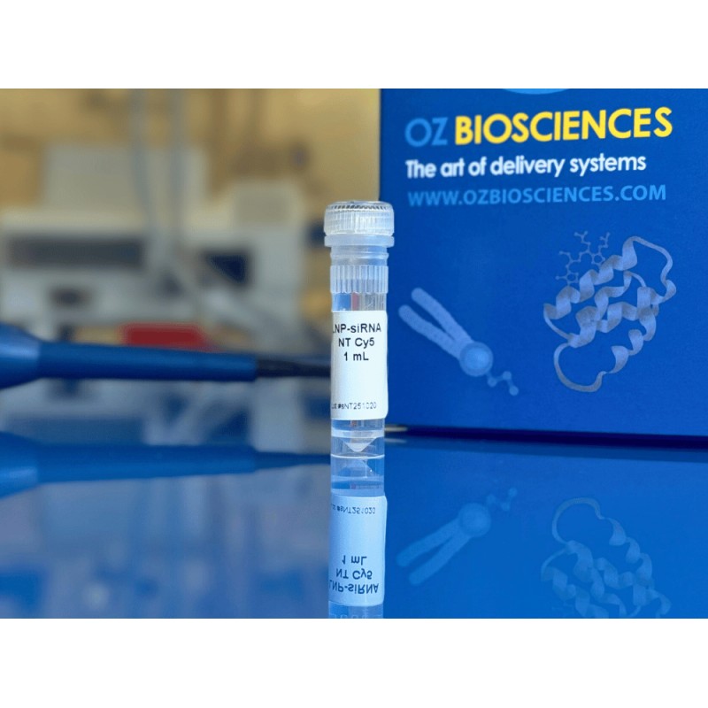 NanOZ LNP-siRNA(NT Cy5)