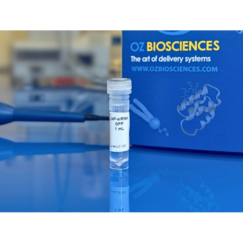 NanOZ LNP-siRNA(GFP)