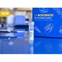 D-Lin-MC3-DMA ionizable lipids