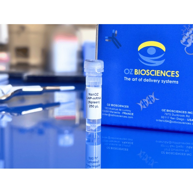 NanOZ LNP Spleen
