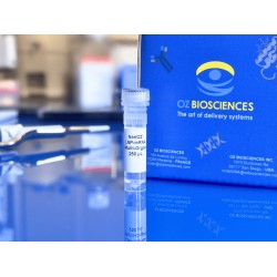 systemic mRNA delivery biodistribution