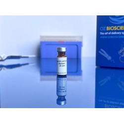 lipid mix for spleen delivery