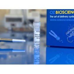 TGF beta 1 mRNA