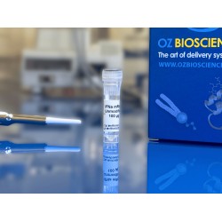 IFN alpha mrna