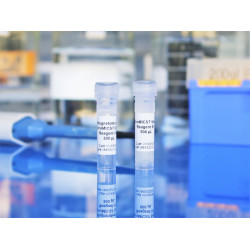 ViroMICST Stem Transduction Enhancer