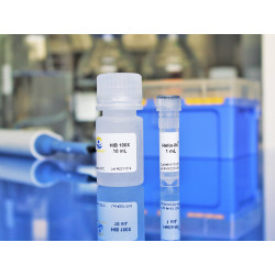 Helix-IN Transfection Reagent