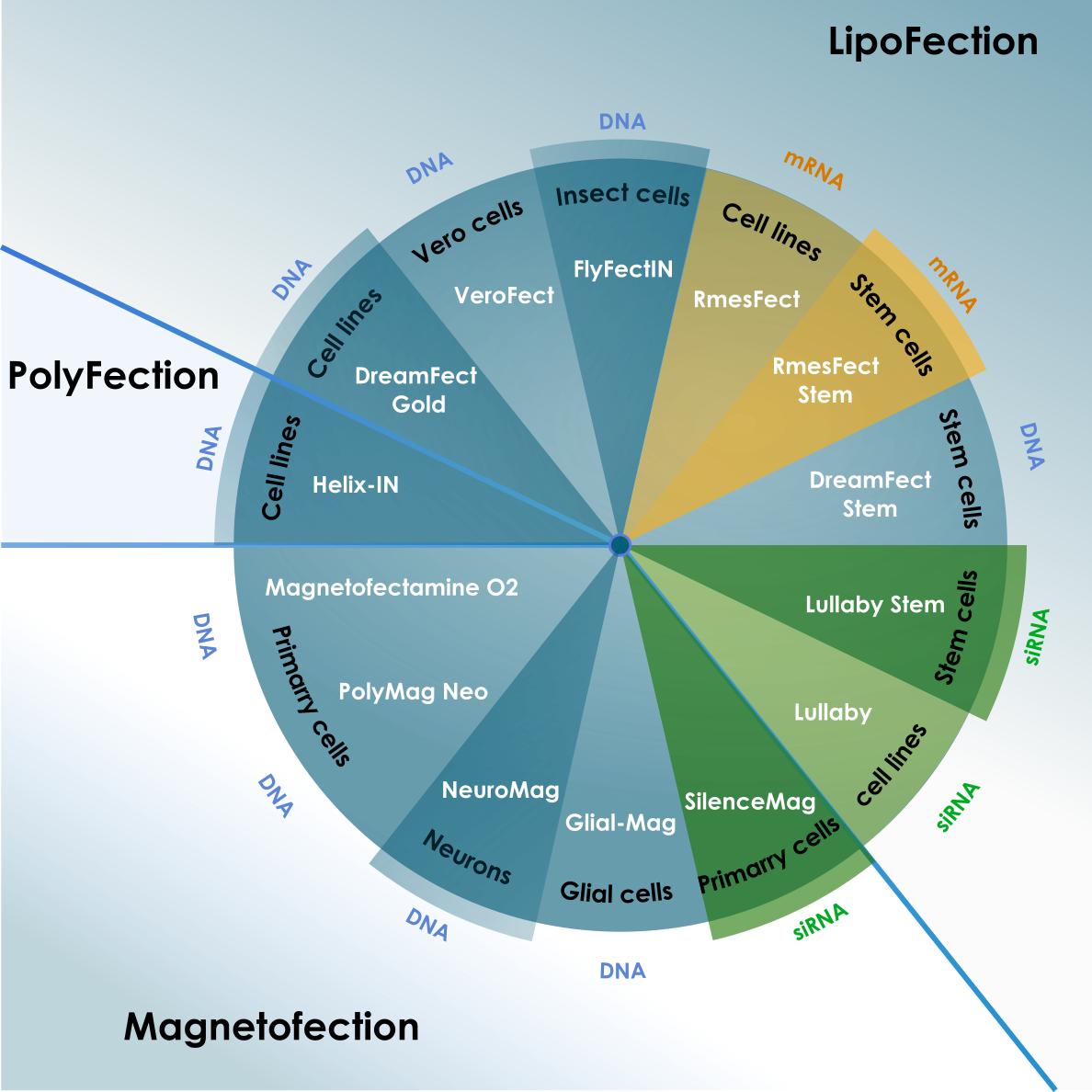 Range of  transfection reagents