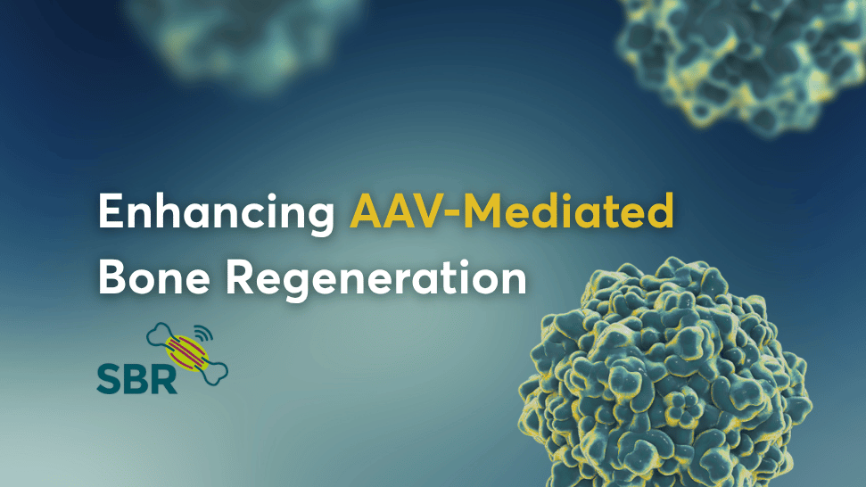 aav transduction enhancer