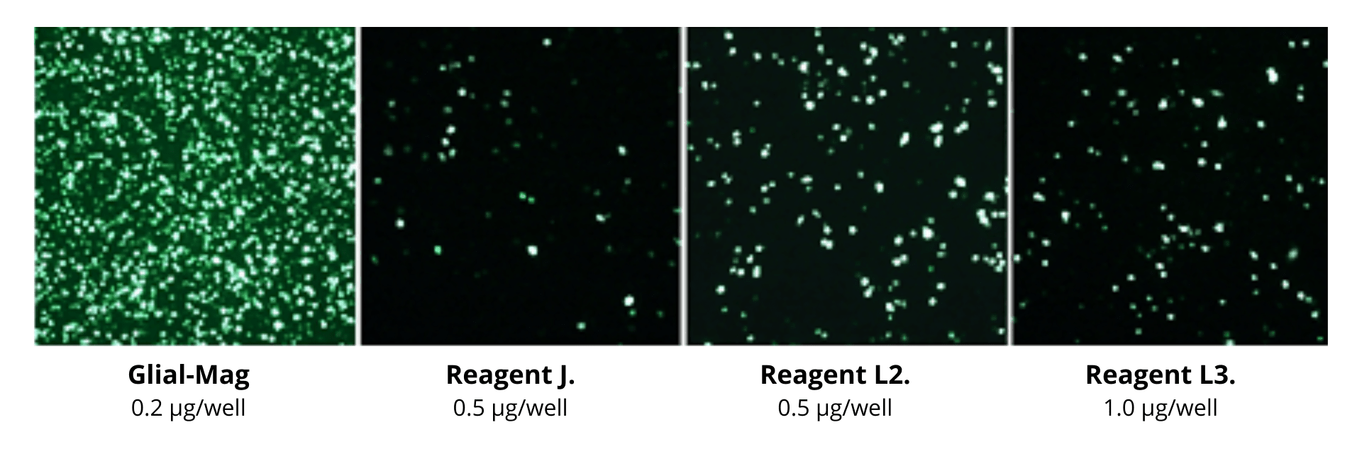 neuroscience applications