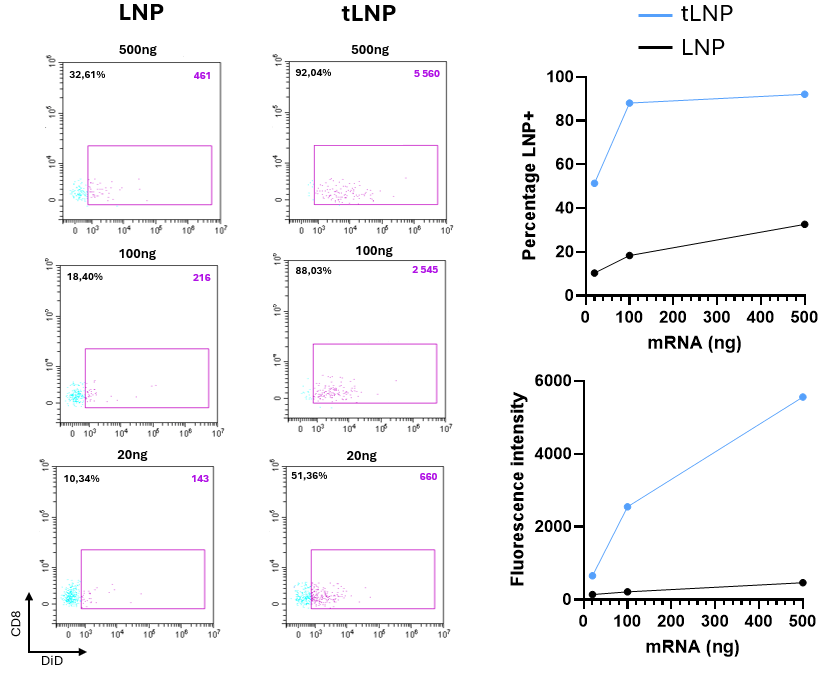 antibody-targeted lnp results
