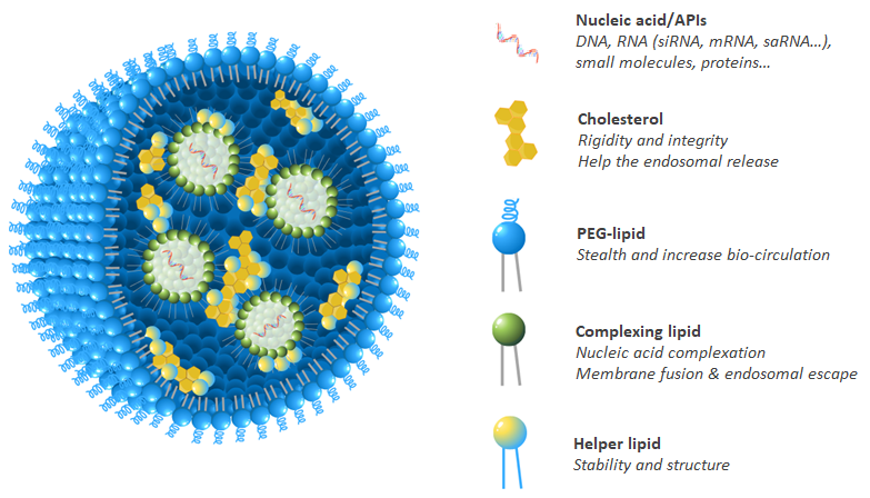Lipid NanoParticles