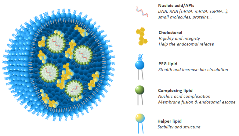 Drug Delivery Products :: Phospholipids and Lipids for LNP and