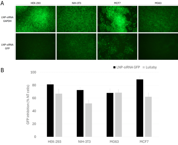 LNP-siRNA GFP gene silencing efficacy in multiple cell lines