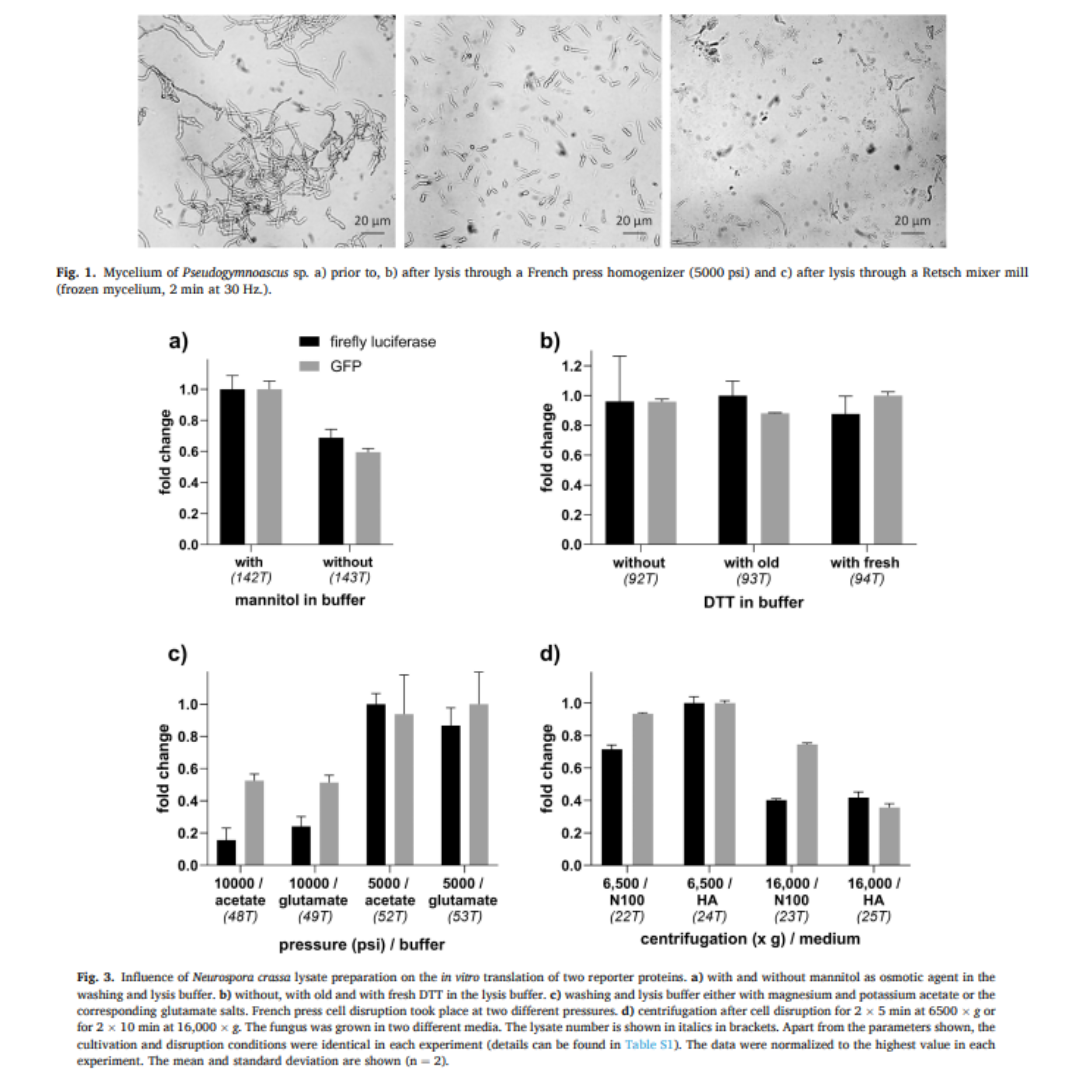 GFP mRNA