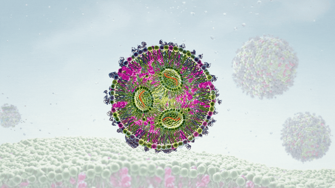 Custom LNP formulation