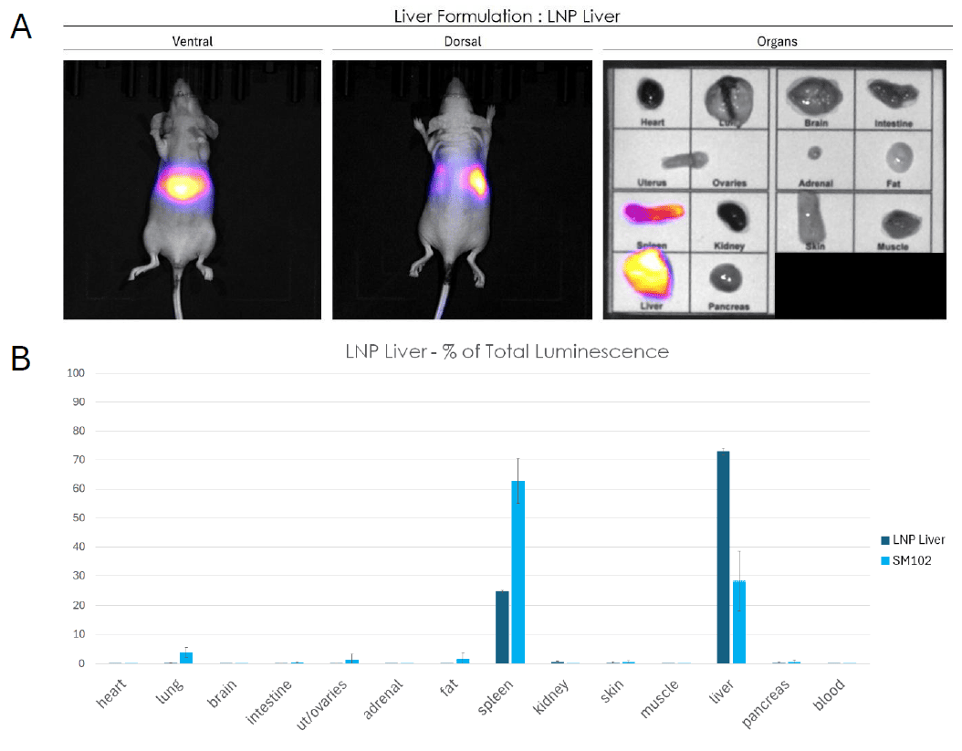 lnp in vivo delivery