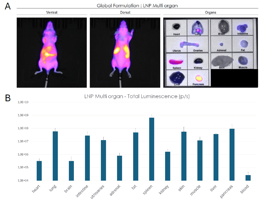 lipid nanoparticles for mrna delivery