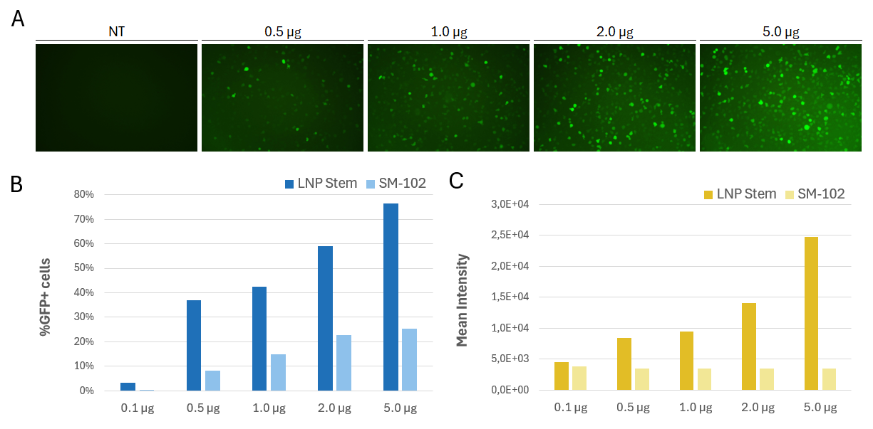 lnp stem cell transfection efficiency