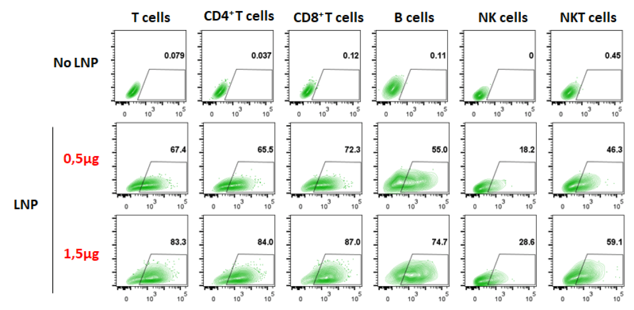 T cells LNP formulation