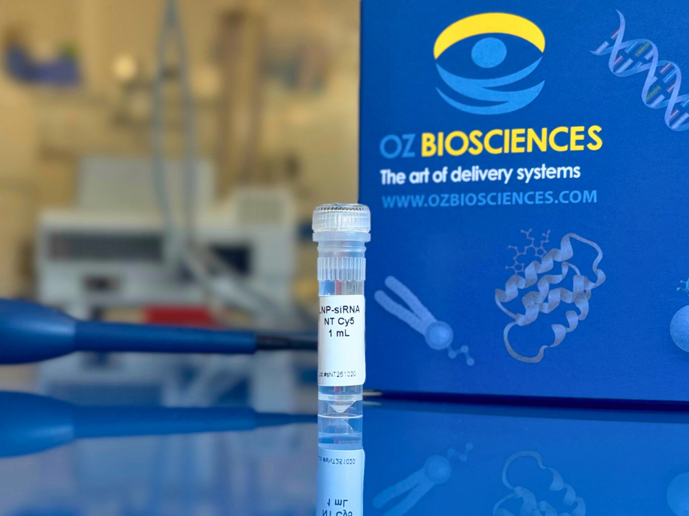 LNP siRNA NT Cy5
