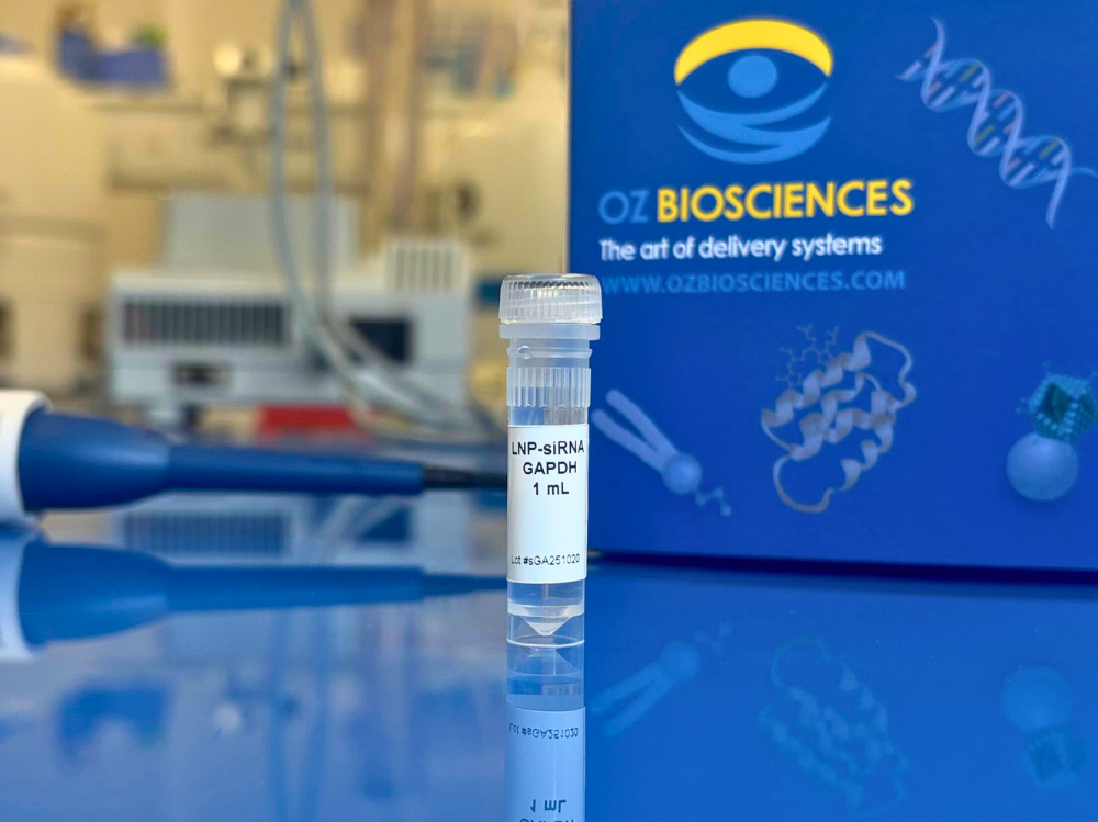 LNP siRNA GAPDH