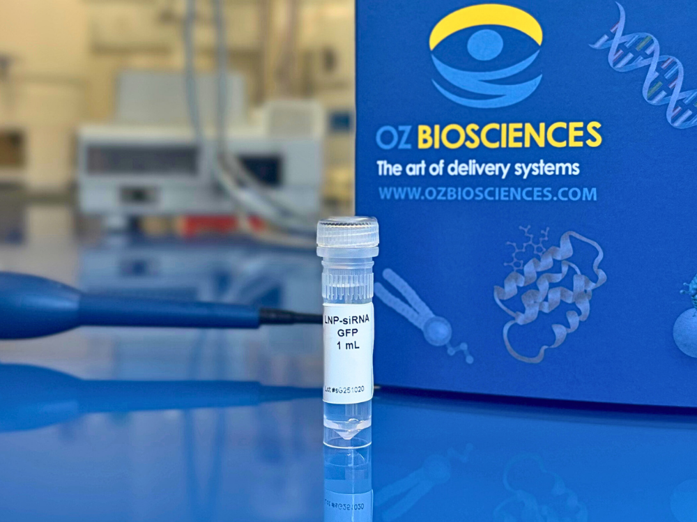 LNP siRNA GFP