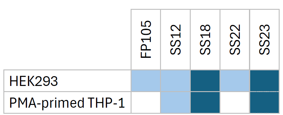 siRNA-LNP formulation