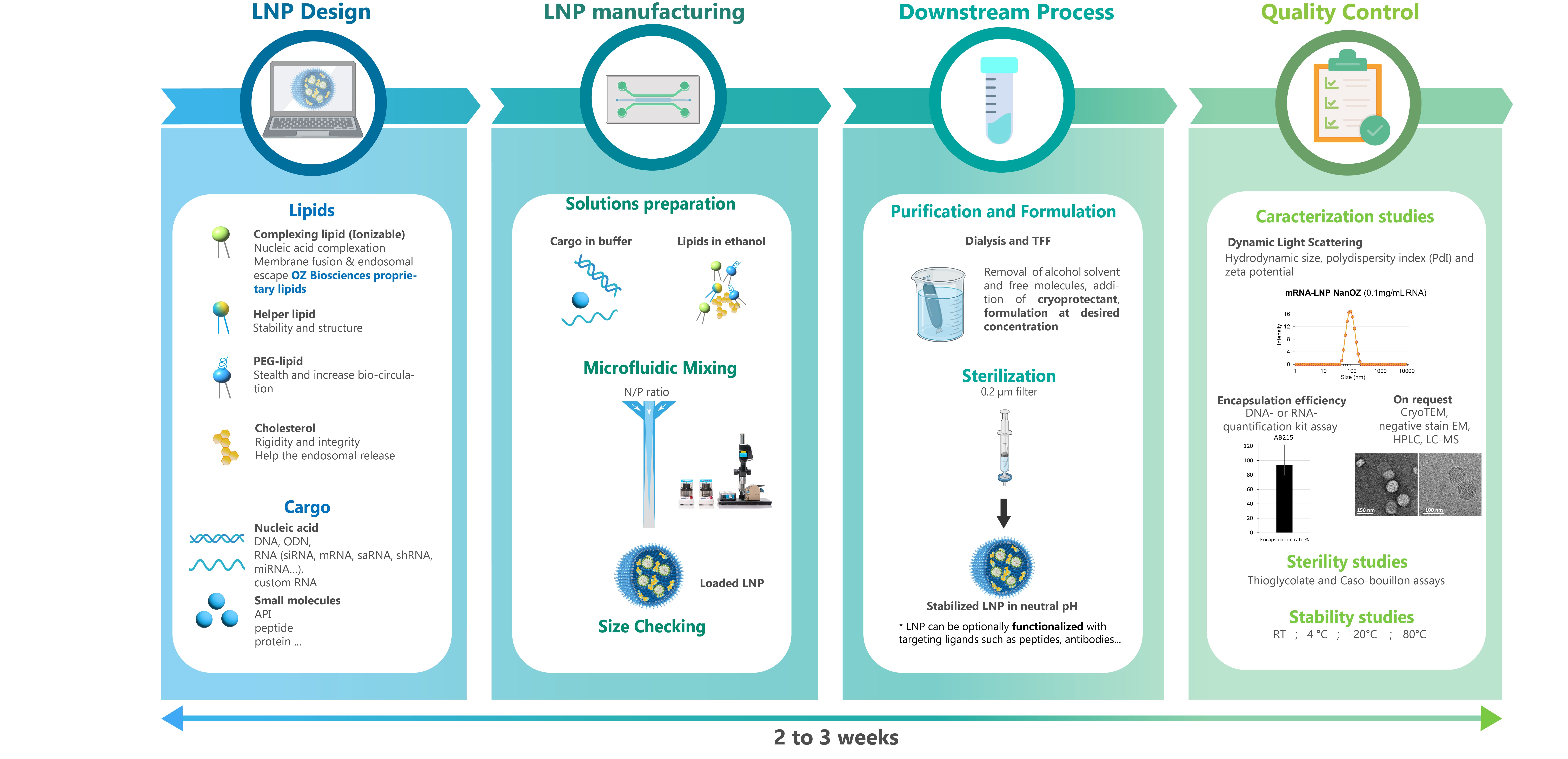 lipids nanoparticles production