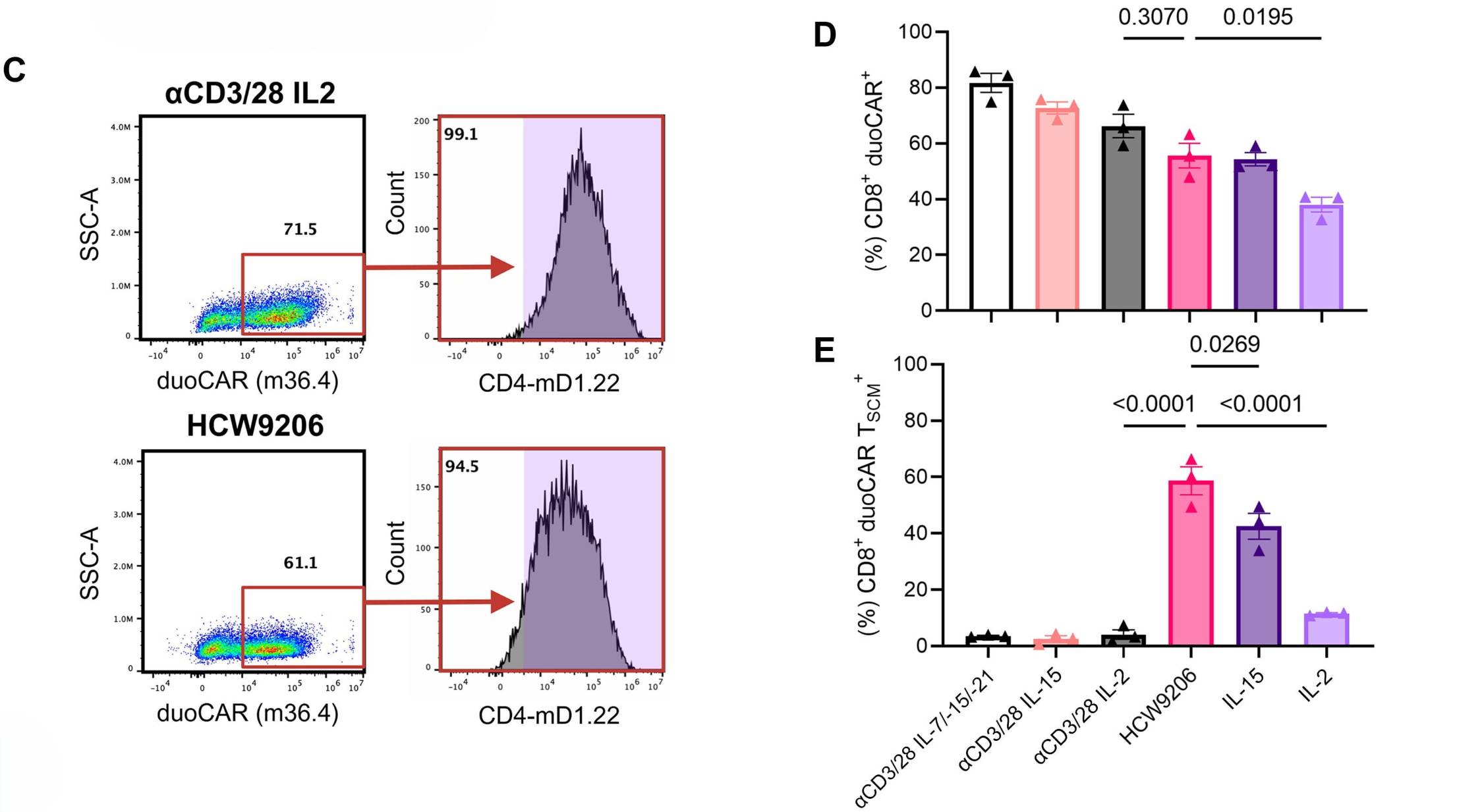 T memory stem cells